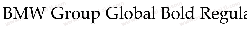BMW Group Global Bold Regular字体转换